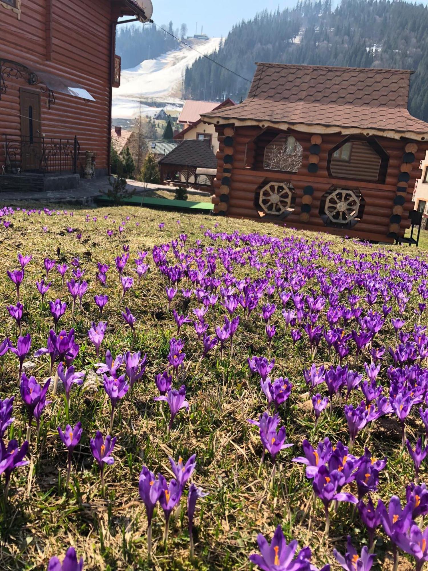 Sadyba U Halyny Sunrise Bukovel Exterior foto