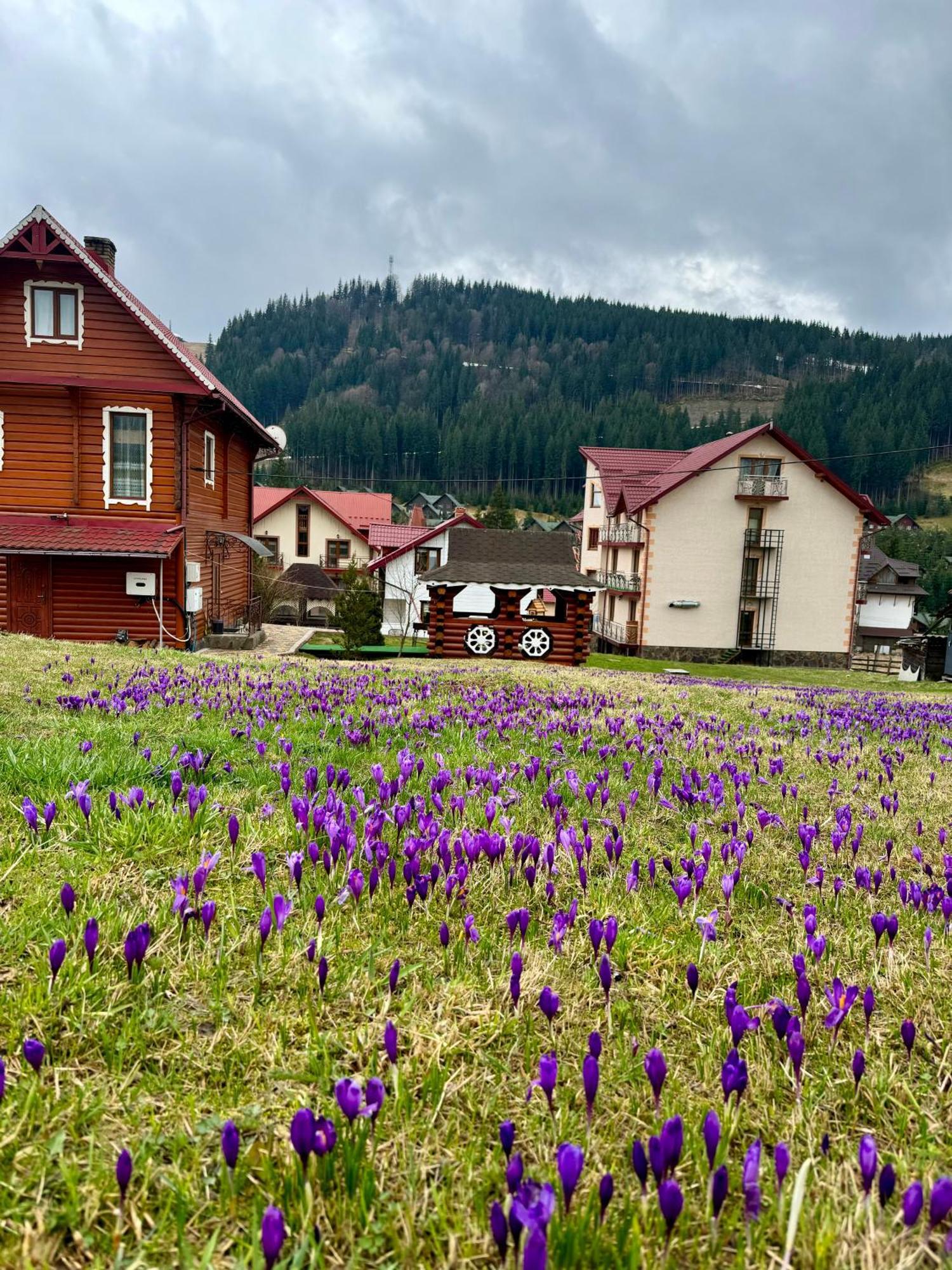 Sadyba U Halyny Sunrise Bukovel Exterior foto